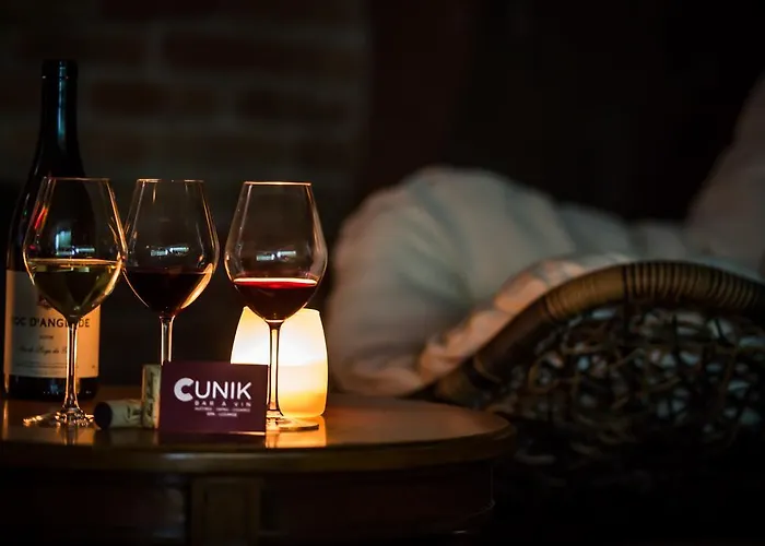 C Spacieuses 酒店 尼姆